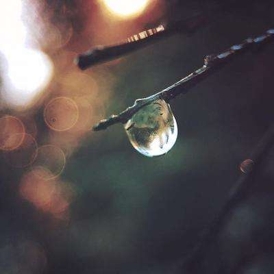 爱游戏·APP手机app下载截图